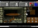 Dungeon Master 2 immortallity