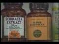 Echinacea