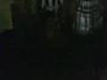videos de E creu nelas