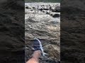 【真田まこと】的、目線Vlog。住所不定無職、家無し風呂無し男の真の男の中の漢の姿。本当の自由とは？#shorts