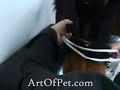Learning the Ropes 1