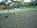 disc golf hot shots 3