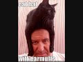 Funny Pictures