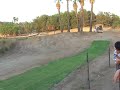 Cheetah Run