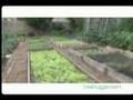 Homegrown Revolution (TreeHugger TV 2006)