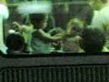 kids on the train