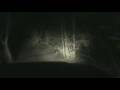 VIAJE DE NOCHE.avi