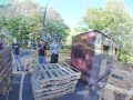 Felt Scotty Cranmer Pallet Video