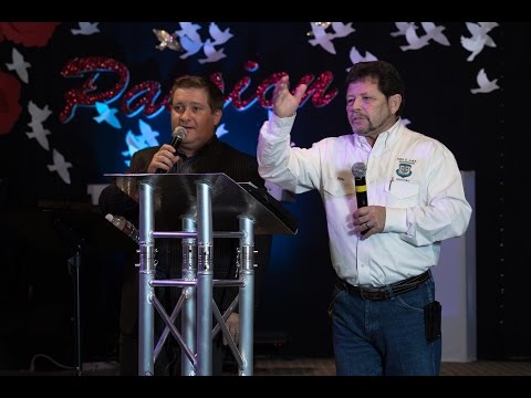 how to harvest curry