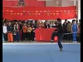 a presentation of the sup bat mor set of bak mei by the sai kwong bak mei martial arts research association in china