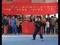 a presentation of the sup bat mor set of bak mei by the sai kwong bak mei martial arts research association in china