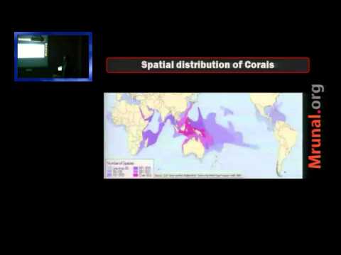 G5/P2: Coral Reefs & Marine Pollution