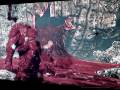 Gears of War 2 - pt24 - Intestinal Fortitude pt3