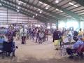 Intertribal  2
