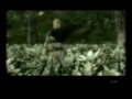 Metal Gear Pr0n 3:  Snake Eater