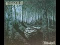 Burzum - Einf�hlungsverm�gen - The Power of Empathy