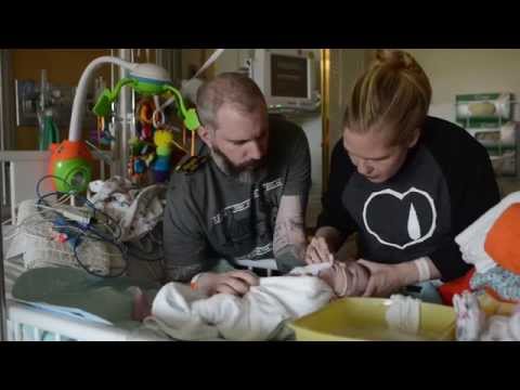 how to transplant juniper trees