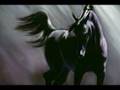 The Path of the Horse (Official Trailer)
