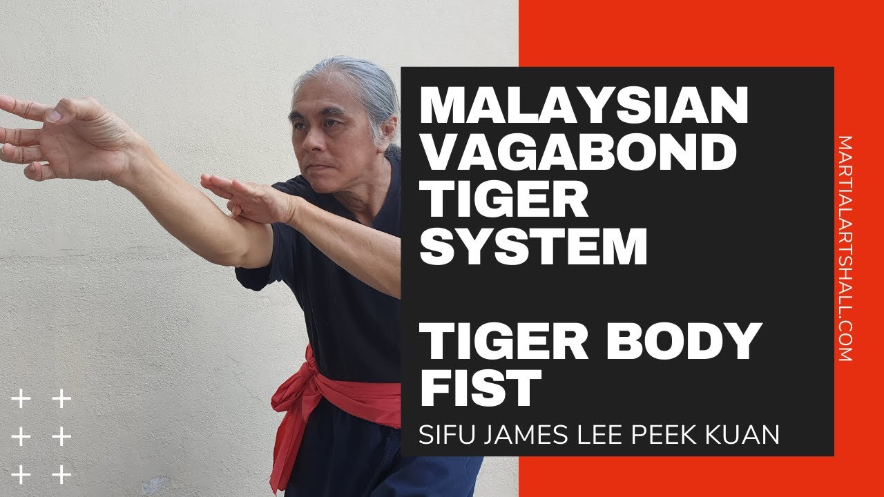 Malaysian Vagabond Tiger Fist : Tiger Body Fist