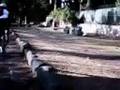 Pedalata nella Storia - Roma 24h MTB