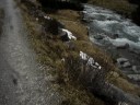 fahrradtour über die alpen