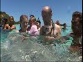 Moorea Snorkeling Moorea Snorkeling