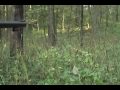 Tarynn Dodd 2009 Muzzleloader Deer