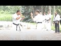 Phoenix Karate Light Demo Kumite