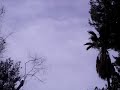 UFO in Encino, California 01.07.08  -9am