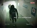 Funny Tiger Beer Chelsea Ad...Only real fans understand