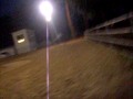 videos de HORSEY RACE