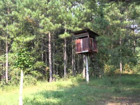 1,255 acres Wadley, AL