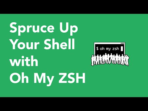 how to set zsh theme