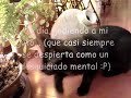 bueno, este video ya tiene su rato de existencia. creo que fue el a�o pasado que lo hice... cuando mi gato segu�a pasando la mayor parte del tiempo en la casa. ahora todo el d�a se la pasa afuera... asoleandose (lo que resulta ser raro pues su pelaje es de color negro ��.. bueno, x :p)

hice �ste video por pura flojera y porque no ten�a ganas de hacer tarea, as� que me puse a jugar a lo patho con mi compu y �ste fue el resultado :p.

espero que les guste. creo que no tiene mucha ciencia, pero tiene su gracia. bueno.. amm..

pues saludos a todos los que conozca xd

p.d: no supe como quitarle el sonido al video original, as� que si ponen atenci�n se escuchan golpes y mis risas despu�s de que se austa mi gato xd