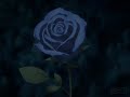 cyclone-amv.html
