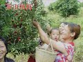 感谢法国华人青年协会的Pascal会长精彩制作此MV.