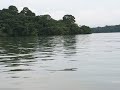 Panama lago gatun
