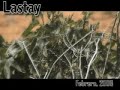 Atentado Ecológico en LASTAY