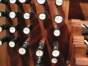 Improvisation im Dom zu St P�lten, 13. Juli 08