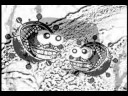 Safety Training: Blood Bourne Pathogens Safety Training: Blood Bourne Pathogens