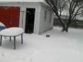 videos de Suzy's Snow Day