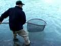 Coho-Steelhead SAME DAY