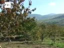 Extremadura luce la mejor cara del otoño en el valle del Jerte .