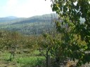 Extremadura luce la mejor cara del otoño en el valle del Jerte .
