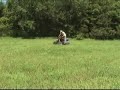 scrambler wheelies