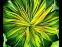 Lemongrass feat. Skadi - Habla Mi Corazon