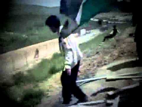 شكس اسرائلى