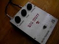 Electro-Harmonix BIG MUFF ? Rams Head (early) Electro-Harmonix BIG MUFF ? Rams Head (early)