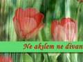 Yunus Emre - Gel Gör Beni Ask Neyledi