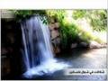 mount of olives my home town